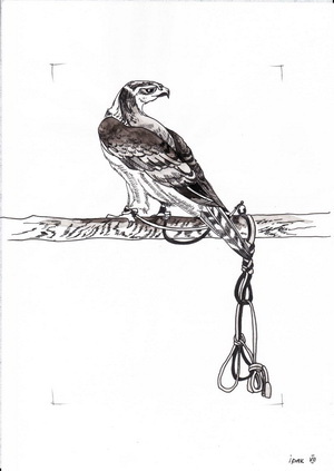 4879305_irak (300x423, 25Kb)
