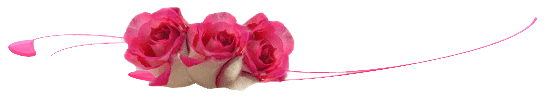 100363684_4360286_razdelitel417992 (550x100, 39Kb)