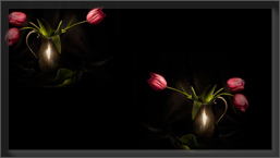--- (257x145, 16Kb)