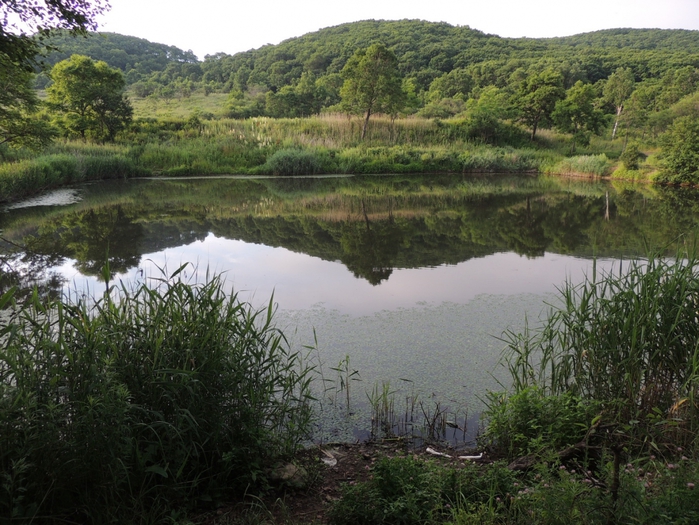 5559494_DSCN7673 (700x525, 327Kb)