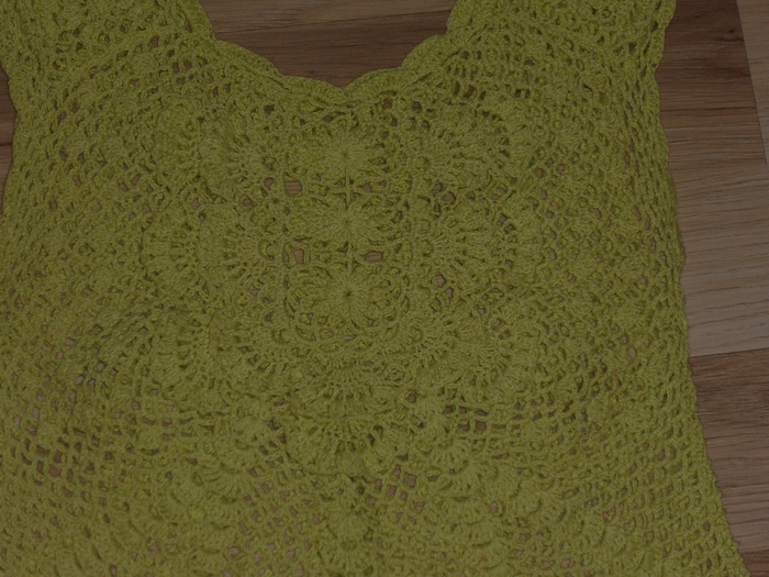 DSCN2065 (700x525, 476Kb)