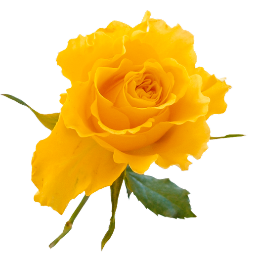 0_96d3e_7ef8d309_XL (520x520, 243Kb)