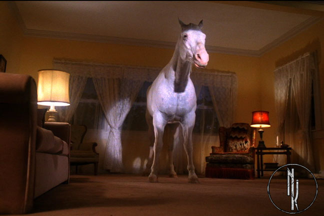 nk_twin_peaks_white_horse (648x432, 71Kb)