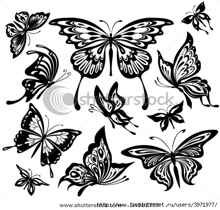 stock-vector-black-and-whi te-butterflies-54362737 (450x431, 143Kb)