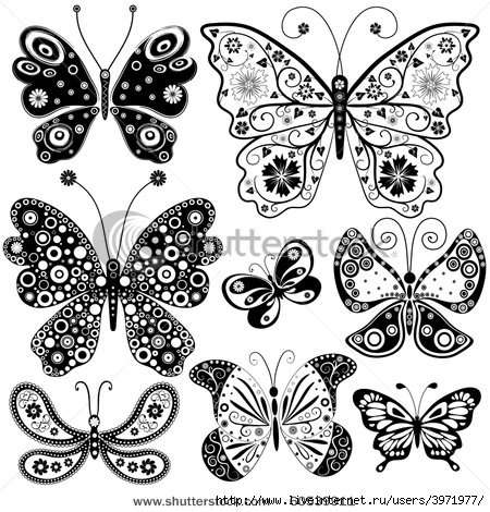 stock-vector-collection-black-and-white-butterflies-for-design-isolated-on-white-vector-60539911 (450x470, 196Kb)