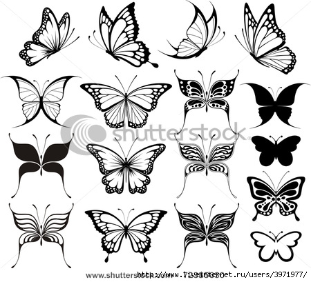 stock-vector-set-of-butterflies-silhouettes-isolated-on-white-background-in-vector-format-very-easy-to-edit-72385630 (450x409, 129Kb)