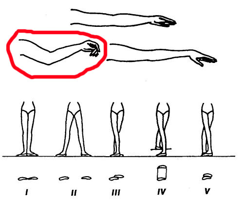 Позиции Ног В Хореографии Фото