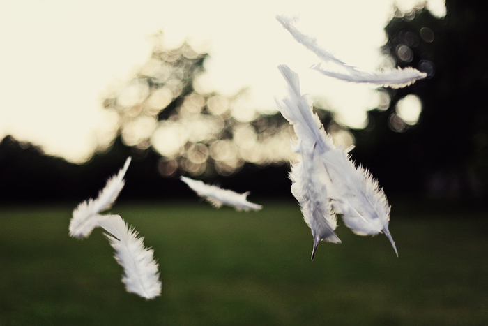 click (700x467, 212Kb)