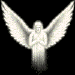 ANGEL12 (75x75, 5Kb)
