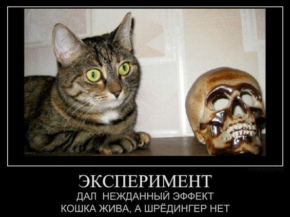   (565x422, 57Kb)