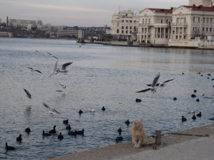 3208812_IMG_3279_resize (700x525, 95Kb)