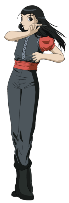 hxh___collab__project___illumi_by_kurapika-d4l8kat (238x700, 74Kb)