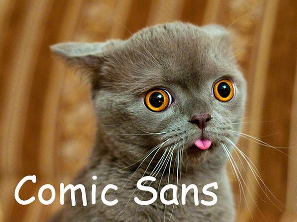 1330859166_201_cat-fonrt-01 (600x450, 64Kb)