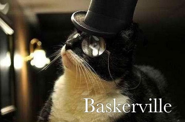 1330859192_201_cat-fonrt-04 (600x395, 47Kb)
