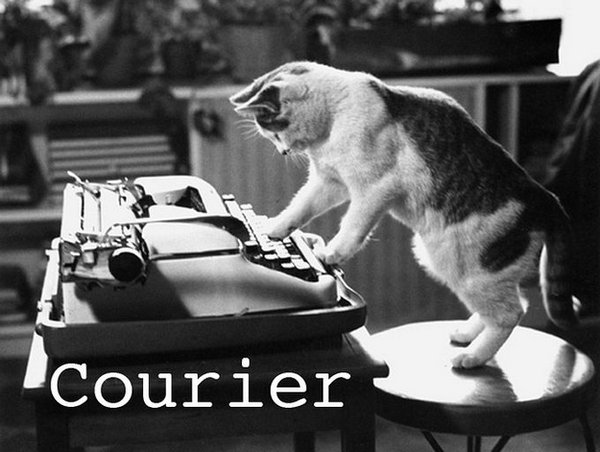 1330859214_201_cat-fonrt-03 (600x452, 60Kb)