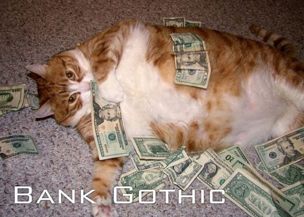 1330859220_201_cat-fonrt-20 (600x428, 75Kb)