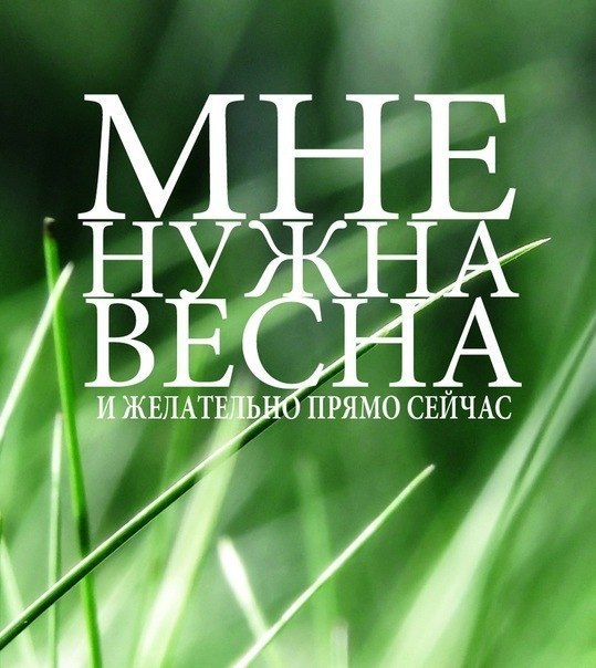 x_d98a6e5c (539x604, 69Kb)