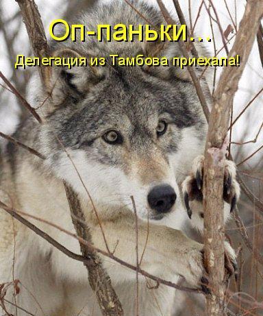 --1 (384x461, 44Kb)