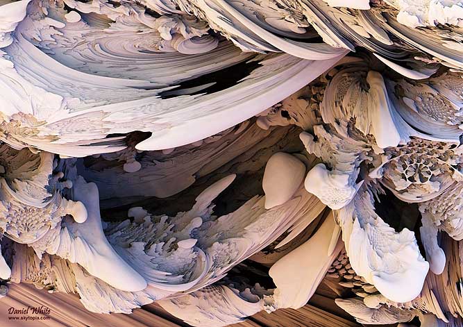 shell-life-med (667x471, 83Kb)