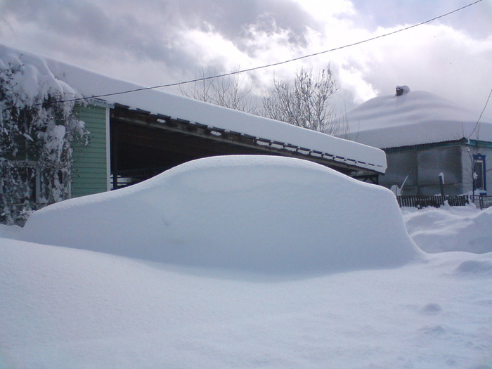 DSC00045 (700x525, 78Kb)