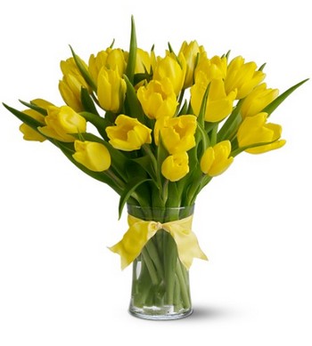 yellow_tulips (350x389, 24Kb)