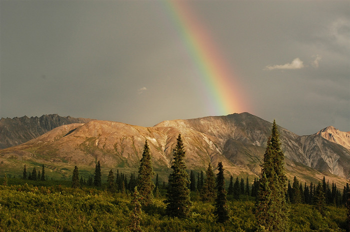 Rainbow_14 (700x465, 115Kb)