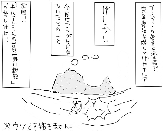 23211419_p36 (540x432, 57Kb)
