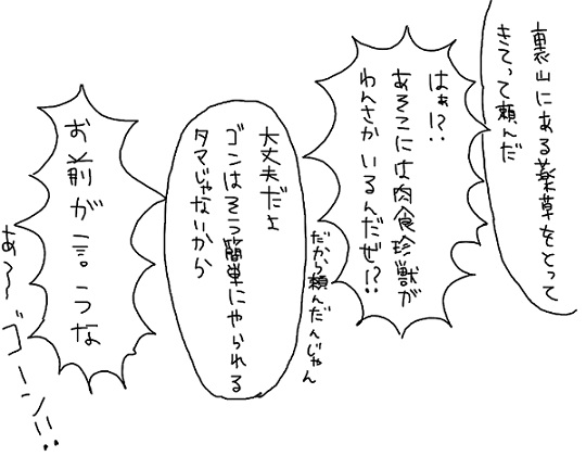 23211419_p22 (540x432, 56Kb)