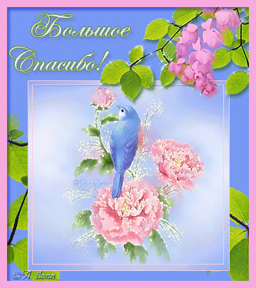 �2 (360x405, 658Kb)