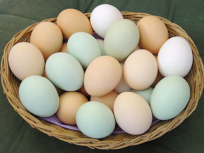 eggs (400x300, 87Kb)