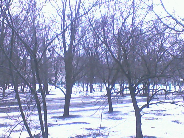 IMG0233A (640x480, 133Kb)