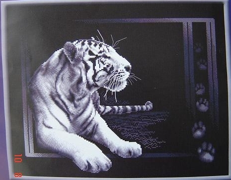 4804545_J27_Belii_tigr (465x362, 143Kb)