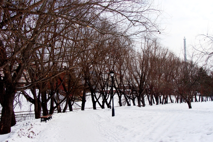 DSC03350 (700x466, 328Kb)