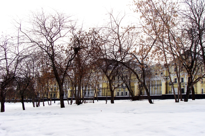 DSC03351 (700x466, 320Kb)