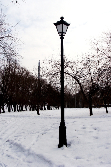 DSC03352 (466x700, 254Kb)