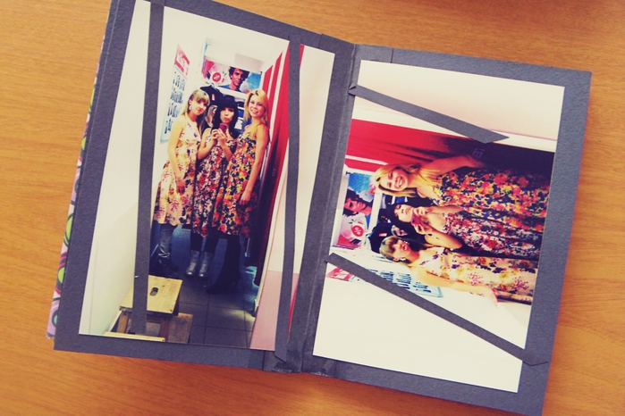 SDC17841 (700x466, 265Kb)