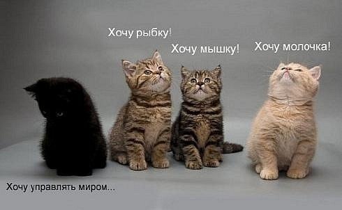  (490x302, 22Kb)