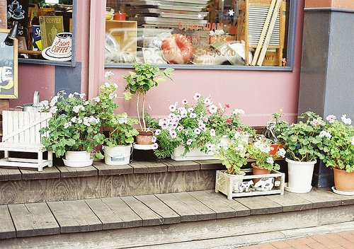 tumblr_lr266spgSU1qciek8o1_500 (500x352, 164Kb)