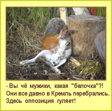 4309103_Oppoziciya_gylyaet (458x453, 74Kb)