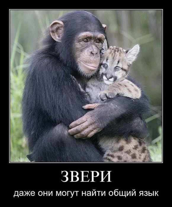 3780815_09_2 (581x700, 196Kb)