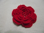  DSCF0140 (700x525, 259Kb)