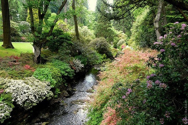 Bodnant-Garden-8 (640x427, 156Kb)