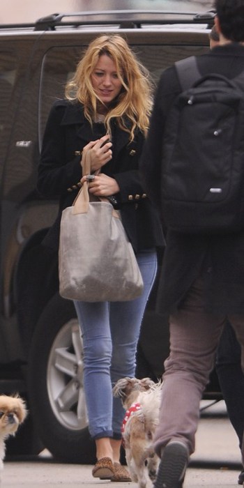 10973_Preppie_Blake_Lively_and_Ryan_Reynolds_walk_their_dogs_in_New_York_City_11_122_174lo (350x700, 45Kb)