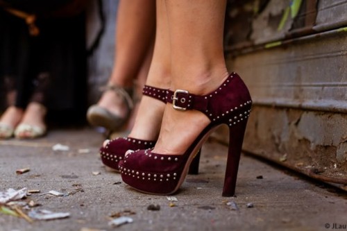 tumblr_lshw5siWtv1qm8pqro1_500 (500x333, 36Kb)