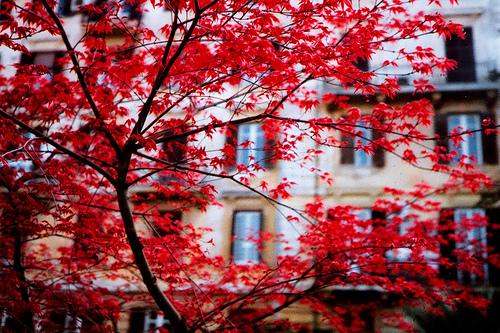 tumblr_lrkwtx7mm41qh9408o1_500 (500x333, 246Kb)