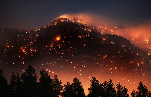 tumblr_lsq2q6NnjP1qh1x6ro1_500 (500x321, 108Kb)