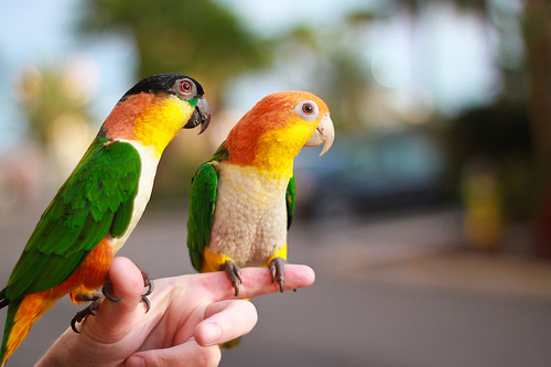 tumblr_lt4h25Msun1qe272oo1_500 (500x333, 92Kb)