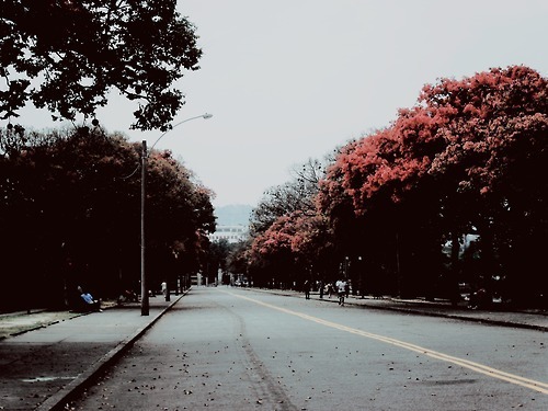 tumblr_lty7o5E7B21qevur2o1_500 (500x375, 97Kb)