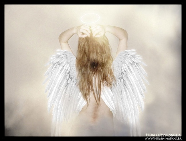 0833da787912bc96e9a8a34da4421dde (650x491, 77Kb)