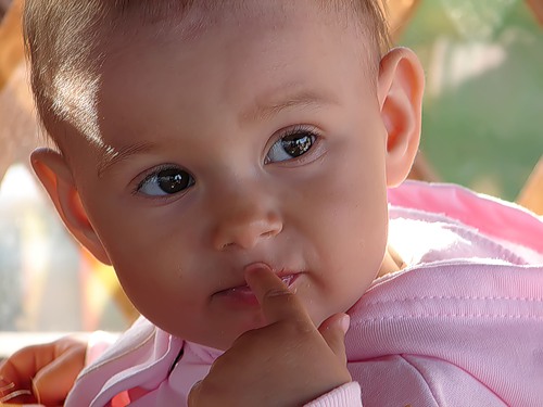 68255700_1293143573_0_2c406_d2018bae_L (500x375, 41Kb)